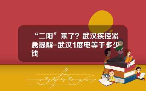 “二阳”来了？武汉疾控紧急提醒-武汉1度电等于多少钱