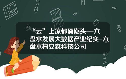 “云”上凉都涌潮头--六盘水发展大数据产业纪实-六盘水梅安森科技公司