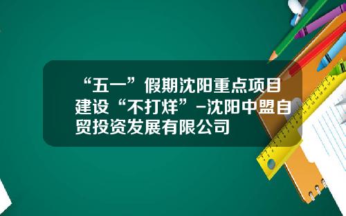 “五一”假期沈阳重点项目建设“不打烊”-沈阳中盟自贸投资发展有限公司