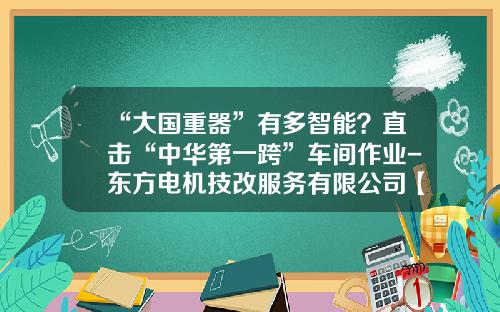 “大国重器”有多智能？直击“中华第一跨”车间作业-东方电机技改服务有限公司【新闻】