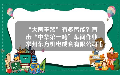 “大国重器”有多智能？直击“中华第一跨”车间作业-常州东方机电成套有限公司【新闻】