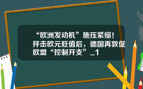 “欧洲发动机”施压紧缩！抨击欧元贬值后，德国再敦促欧盟“控制开支”_1