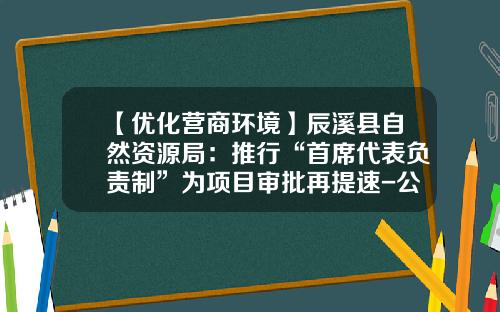 【优化营商环境】辰溪县自然资源局：推行“首席代表负责制”为项目审批再提速-公司审批权限管理