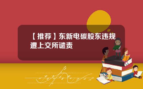 【推荐】东新电碳股东违规遭上交所谴责