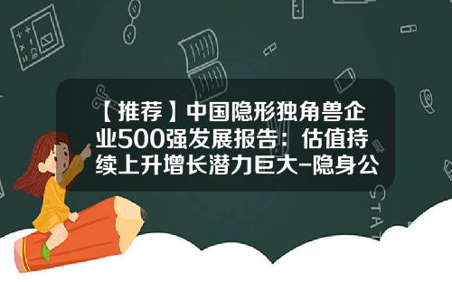 【推荐】中国隐形独角兽企业500强发展报告：估值持续上升增长潜力巨大-隐身公司