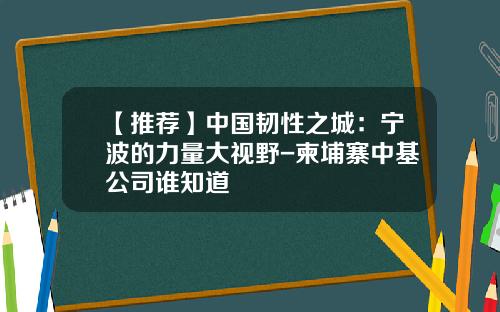 【推荐】中国韧性之城：宁波的力量大视野-柬埔寨中基公司谁知道