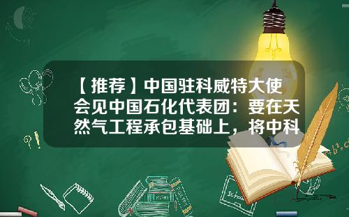 【推荐】中国驻科威特大使会见中国石化代表团：要在天然气工程承包基础上，将中科油气合作向供应链上下游拓展-中国公司在科威特情况