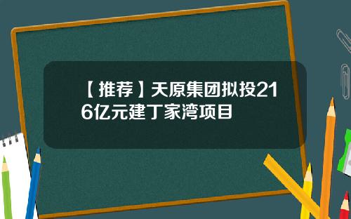 【推荐】天原集团拟投216亿元建丁家湾项目
