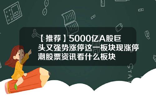 【推荐】5000亿A股巨头又强势涨停这一板块现涨停潮股票资讯看什么板块