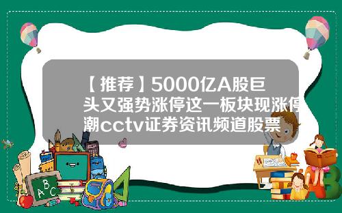 【推荐】5000亿A股巨头又强势涨停这一板块现涨停潮cctv证券资讯频道股票代码