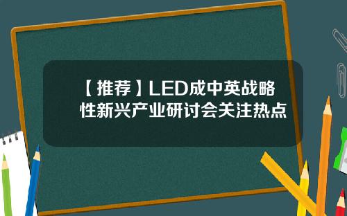 【推荐】LED成中英战略性新兴产业研讨会关注热点