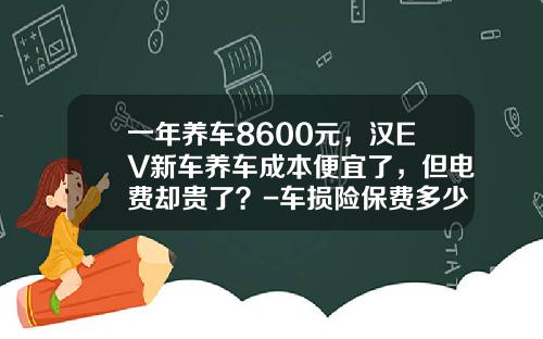 一年养车8600元，汉EV新车养车成本便宜了，但电费却贵了？-车损险保费多少钱一年【新闻】.