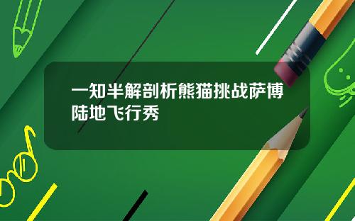 一知半解剖析熊猫挑战萨博陆地飞行秀