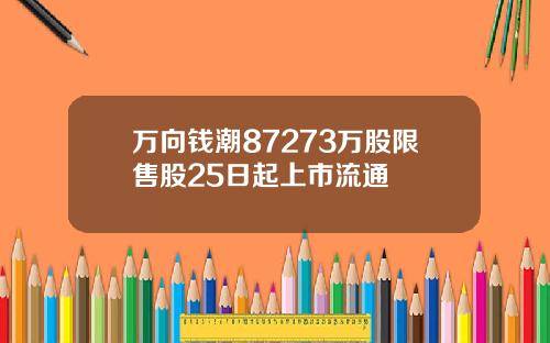 万向钱潮87273万股限售股25日起上市流通