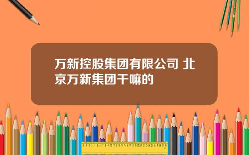 万新控股集团有限公司 北京万新集团干嘛的