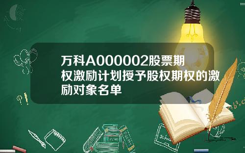 万科A000002股票期权激励计划授予股权期权的激励对象名单