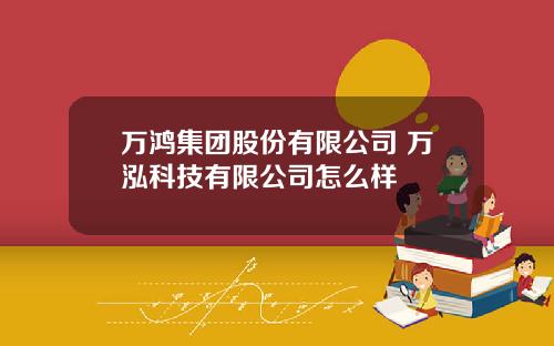 万鸿集团股份有限公司 万泓科技有限公司怎么样