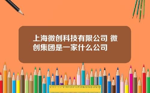 上海微创科技有限公司 微创集团是一家什么公司