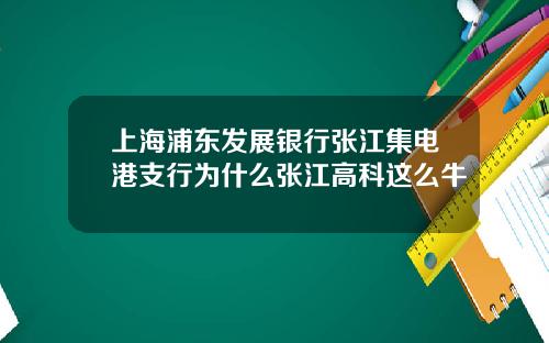 上海浦东发展银行张江集电港支行为什么张江高科这么牛