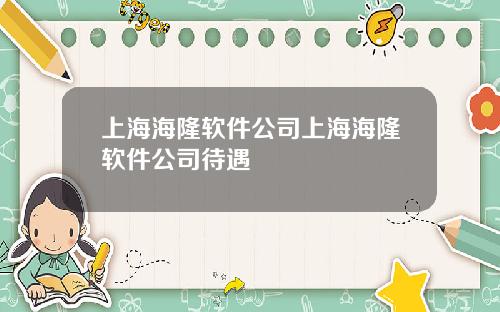 上海海隆软件公司上海海隆软件公司待遇