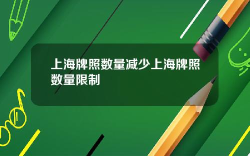 上海牌照数量减少上海牌照数量限制
