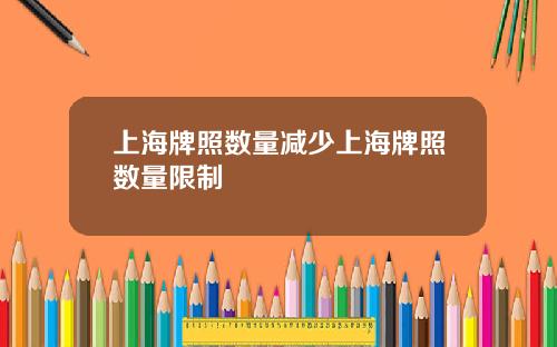 上海牌照数量减少上海牌照数量限制