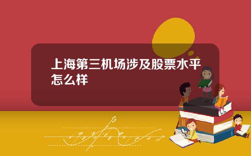 上海第三机场涉及股票水平怎么样