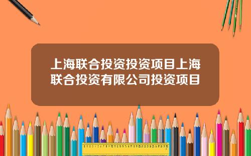 上海联合投资投资项目上海联合投资有限公司投资项目