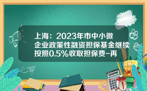 上海：2023年市中小微企业政策性融资担保基金继续按照0.5%收取担保费-再担保基金
