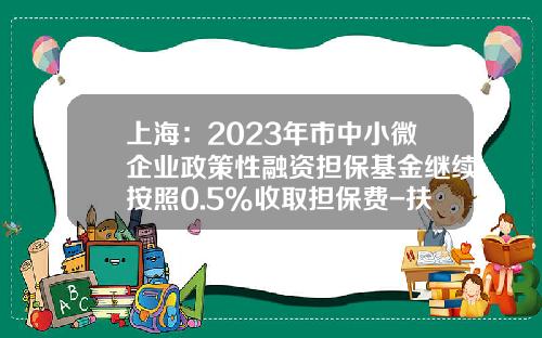 上海：2023年市中小微企业政策性融资担保基金继续按照0.5%收取担保费-扶贫担保基金