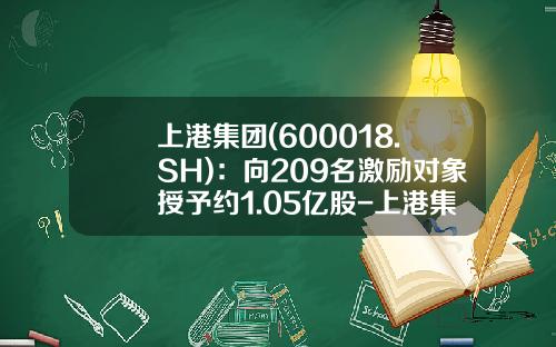 上港集团(600018.SH)：向209名激励对象授予约1.05亿股-上港集团股票资讯