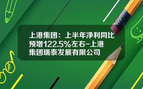 上港集团：上半年净利同比预增122.5%左右-上港集团瑞泰发展有限公司