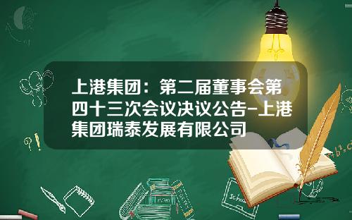 上港集团：第二届董事会第四十三次会议决议公告-上港集团瑞泰发展有限公司