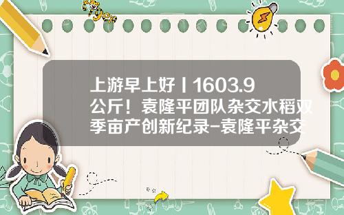 上游早上好丨1603.9公斤！袁隆平团队杂交水稻双季亩产创新纪录-袁隆平杂交水稻亩产多少斤