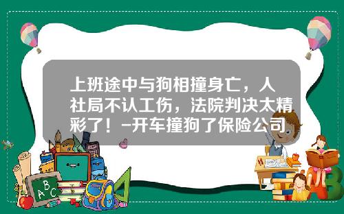 上班途中与狗相撞身亡，人社局不认工伤，法院判决太精彩了！-开车撞狗了保险公司赔吗