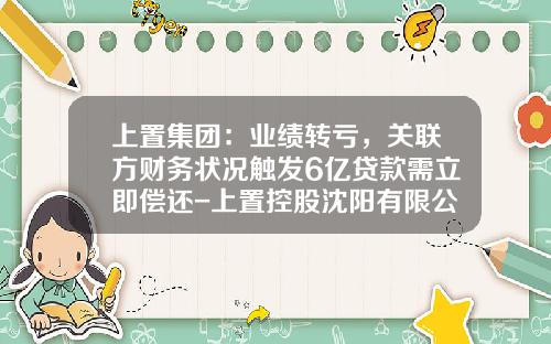 上置集团：业绩转亏，关联方财务状况触发6亿贷款需立即偿还-上置控股沈阳有限公司