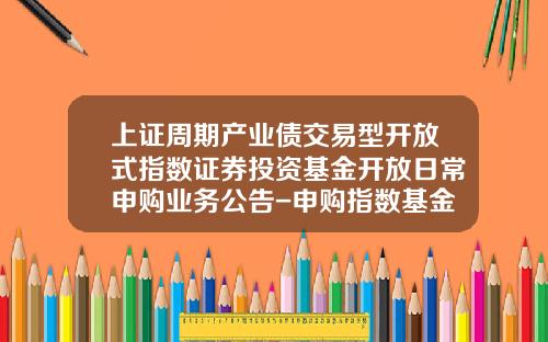 上证周期产业债交易型开放式指数证券投资基金开放日常申购业务公告-申购指数基金