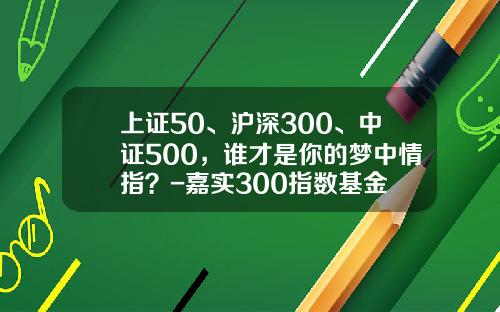 上证50、沪深300、中证500，谁才是你的梦中情指？-嘉实300指数基金