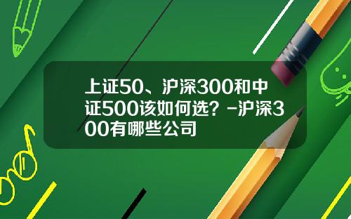 上证50、沪深300和中证500该如何选？-沪深300有哪些公司