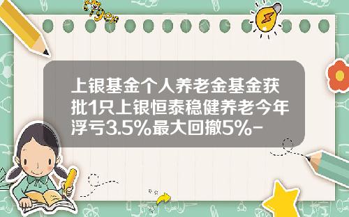 上银基金个人养老金基金获批1只上银恒泰稳健养老今年浮亏3.5%最大回撤5%-九银基金