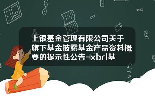 上银基金管理有限公司关于旗下基金披露基金产品资料概要的提示性公告-xbrl基金