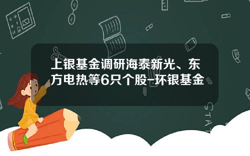 上银基金调研海泰新光、东方电热等6只个股-环银基金