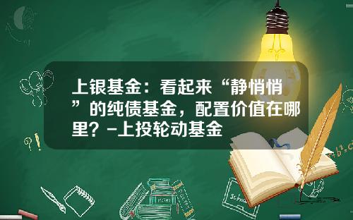 上银基金：看起来“静悄悄”的纯债基金，配置价值在哪里？-上投轮动基金