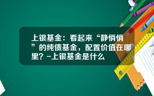 上银基金：看起来“静悄悄”的纯债基金，配置价值在哪里？-上银基金是什么