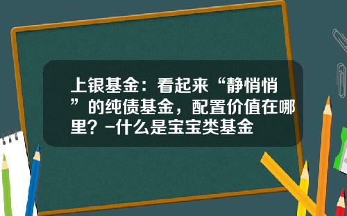 上银基金：看起来“静悄悄”的纯债基金，配置价值在哪里？-什么是宝宝类基金