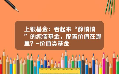 上银基金：看起来“静悄悄”的纯债基金，配置价值在哪里？-价值类基金