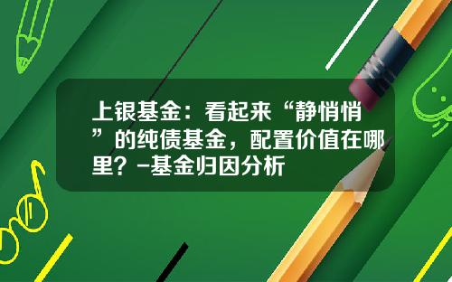 上银基金：看起来“静悄悄”的纯债基金，配置价值在哪里？-基金归因分析