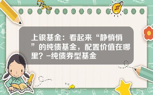 上银基金：看起来“静悄悄”的纯债基金，配置价值在哪里？-纯债券型基金