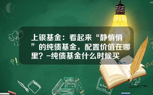 上银基金：看起来“静悄悄”的纯债基金，配置价值在哪里？-纯债基金什么时候买