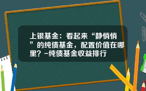上银基金：看起来“静悄悄”的纯债基金，配置价值在哪里？-纯债基金收益排行